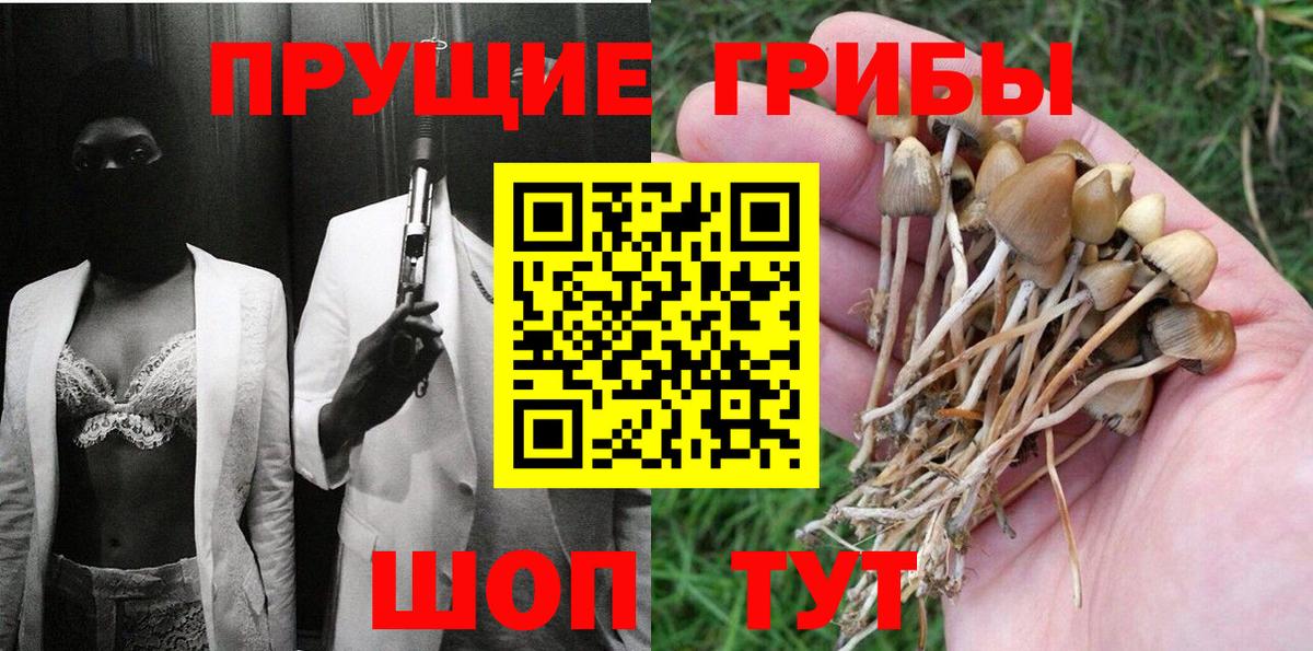 Галлюциногенные грибы прущие грибы Кулебаки