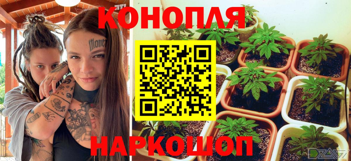 Канабис Bruce Banner  МАРИХУАНА SATIVA & INDICA  Шишки марихуана Ganja  Кулебаки  МАРИХУАНА Ganja  Вход с VPN 
